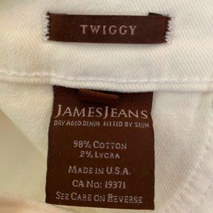 James Jeans Twiggy in Eggshell Size 25